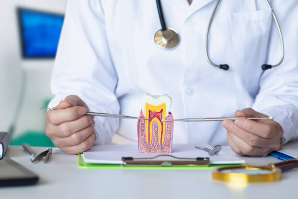 Best Emergency Denture Repair in Carthage, MS
